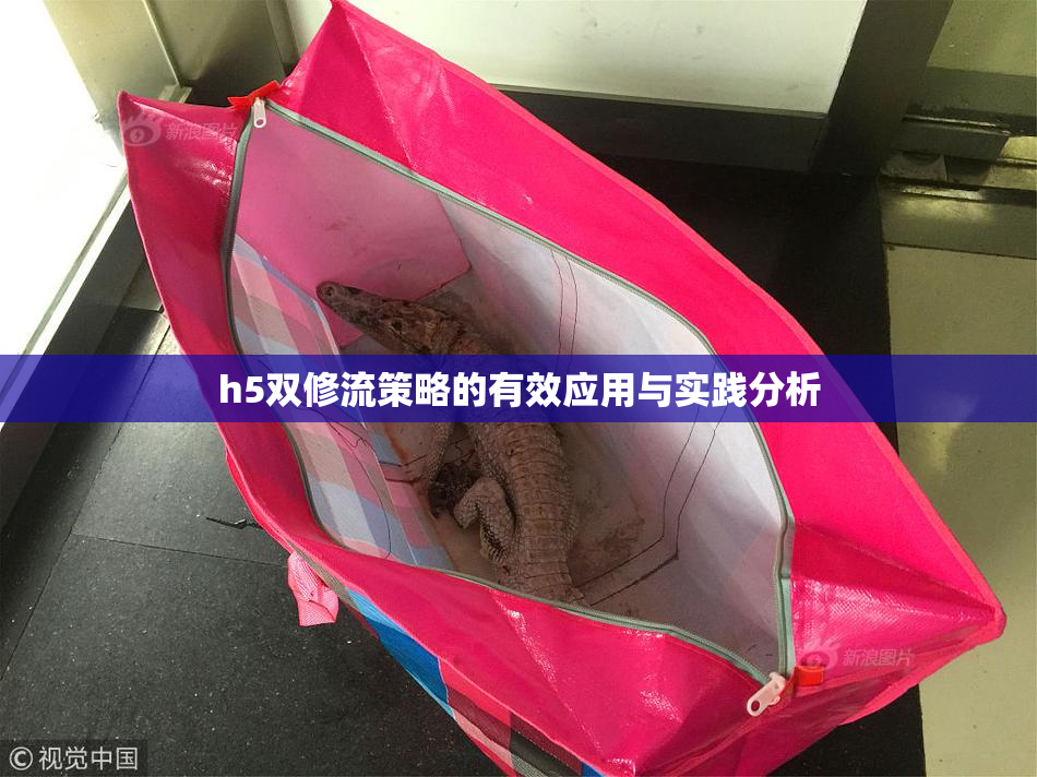 h5双修流策略的有效应用与实践分析