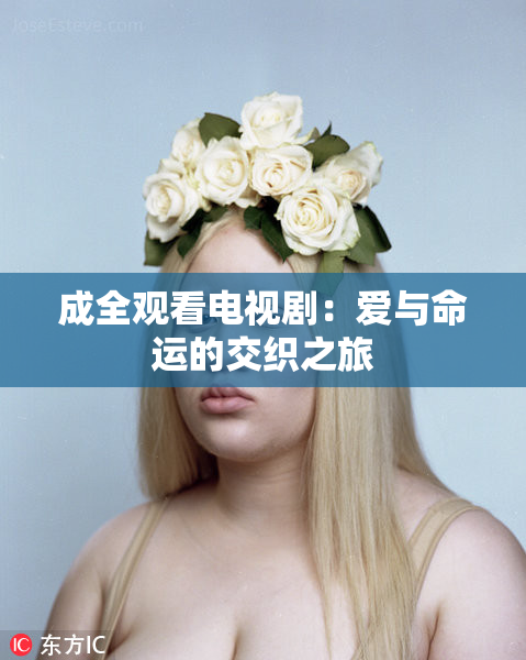 成全观看电视剧：爱与命运的交织之旅