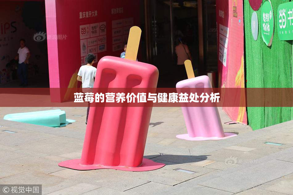 蓝莓的营养价值与健康益处分析