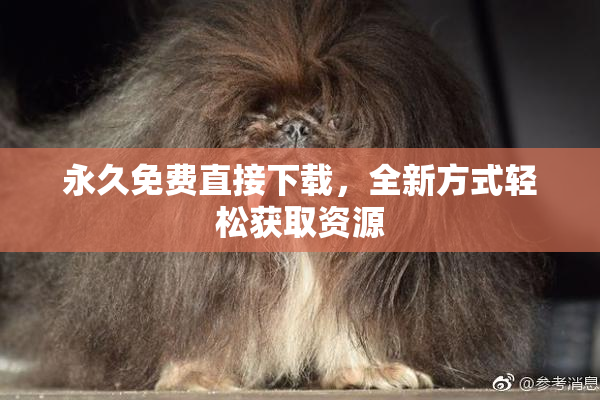 永久免费直接下载，全新方式轻松获取资源