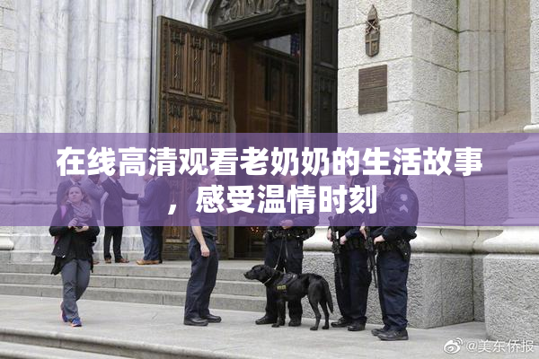在线高清观看老奶奶的生活故事，感受温情时刻