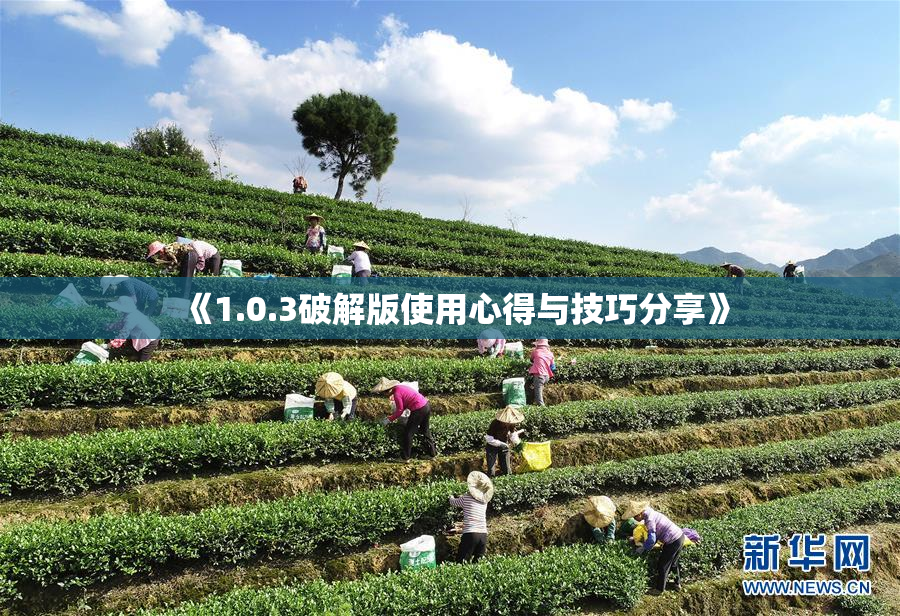《1.0.3破解版使用心得与技巧分享》