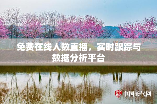 免费在线人数直播，实时跟踪与数据分析平台