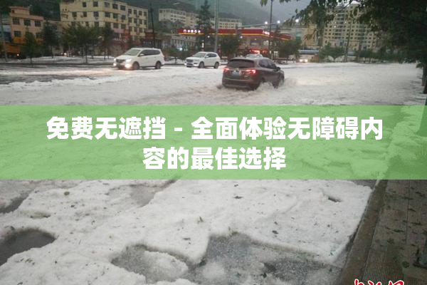 免费无遮挡 - 全面体验无障碍内容的最佳选择