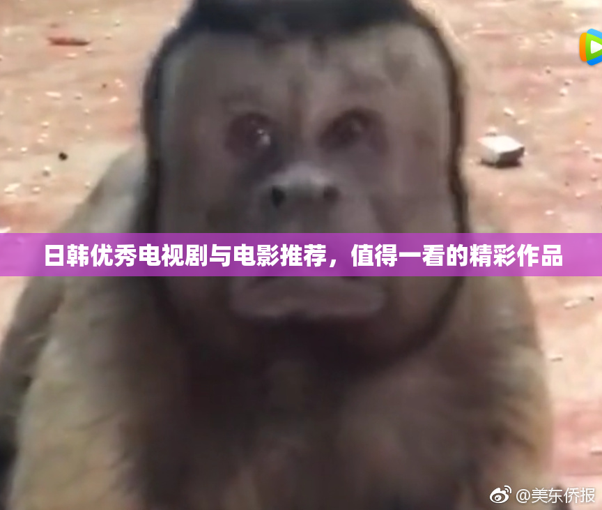 日韩优秀电视剧与电影推荐，值得一看的精彩作品