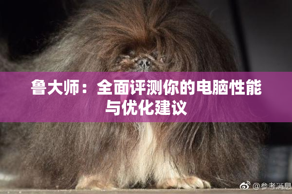 鲁大师：全面评测你的电脑性能与优化建议