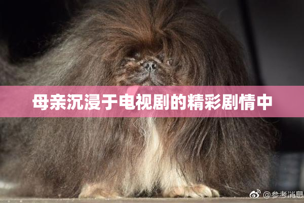 母亲沉浸于电视剧的精彩剧情中