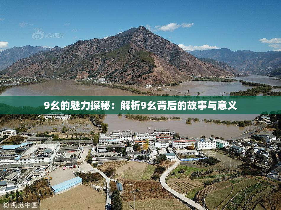 9幺的魅力探秘：解析9幺背后的故事与意义