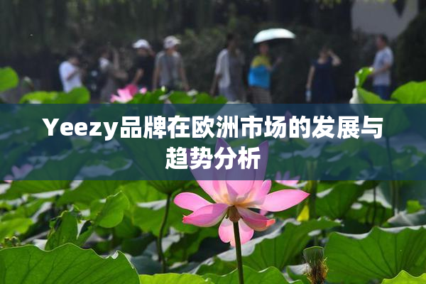 Yeezy品牌在欧洲市场的发展与趋势分析