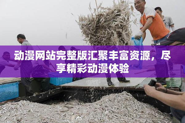 动漫网站完整版汇聚丰富资源，尽享精彩动漫体验