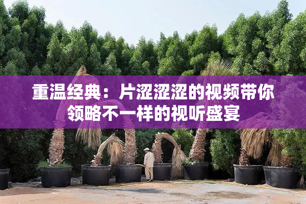 重温经典：片涩涩涩的视频带你领略不一样的视听盛宴