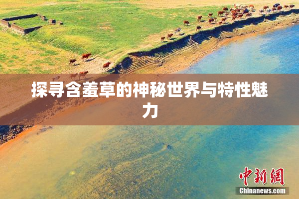 探寻含羞草的神秘世界与特性魅力