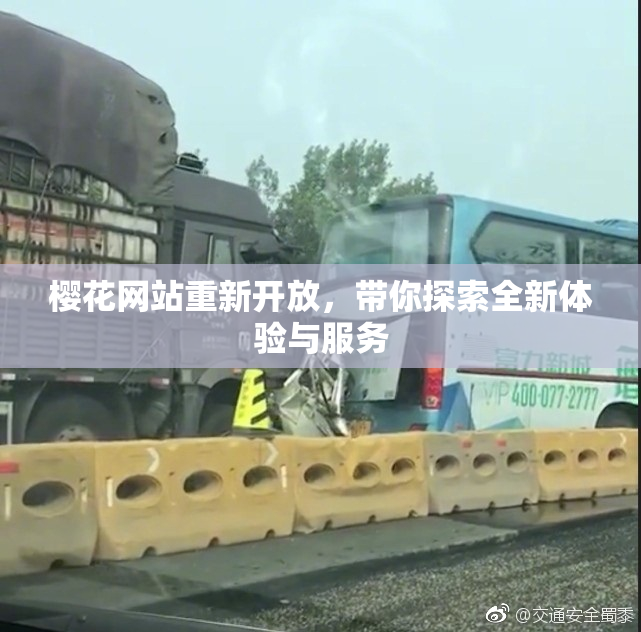 樱花网站重新开放，带你探索全新体验与服务