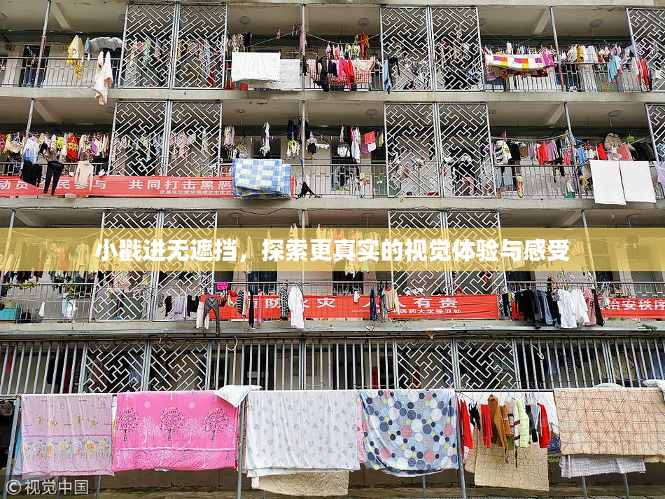 小戳进无遮挡，探索更真实的视觉体验与感受