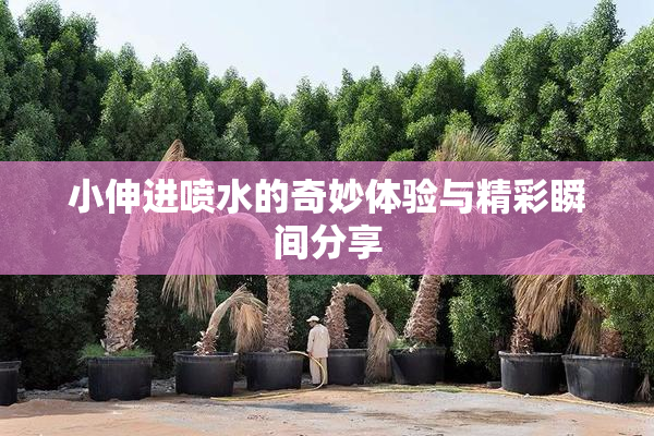 小伸进喷水的奇妙体验与精彩瞬间分享