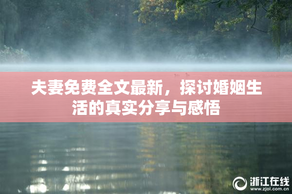 夫妻免费全文最新，探讨婚姻生活的真实分享与感悟