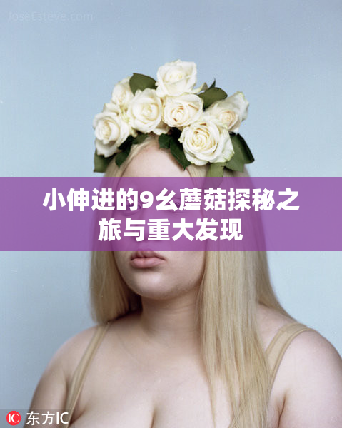 小伸进的9幺蘑菇探秘之旅与重大发现