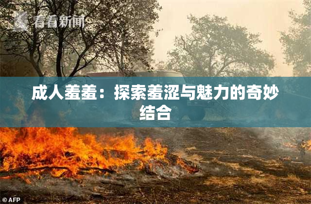 成人羞羞：探索羞涩与魅力的奇妙结合