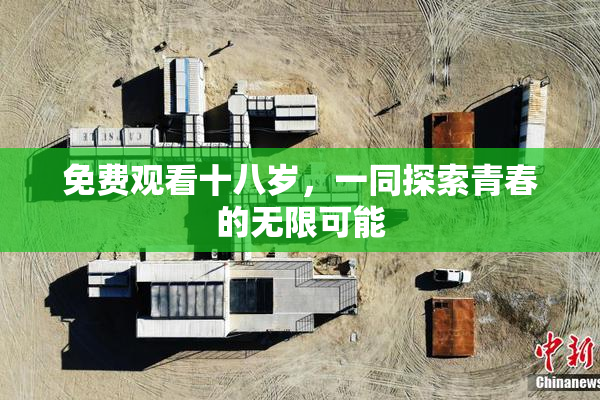 免费观看十八岁，一同探索青春的无限可能
