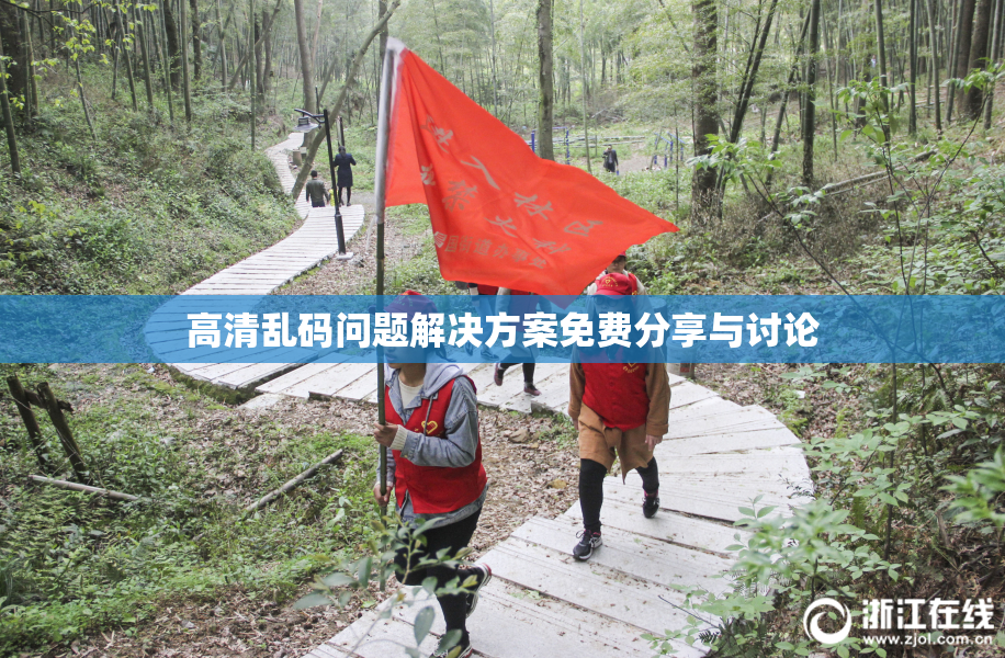 高清乱码问题解决方案免费分享与讨论