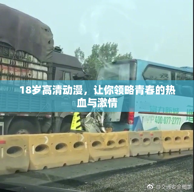18岁高清动漫，让你领略青春的热血与激情