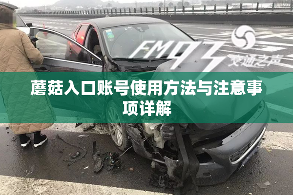 蘑菇入口账号使用方法与注意事项详解