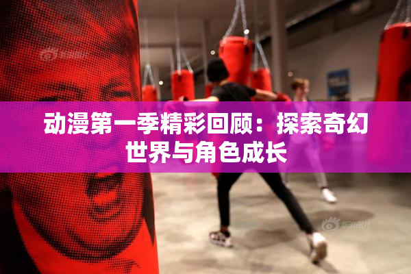 动漫第一季精彩回顾：探索奇幻世界与角色成长