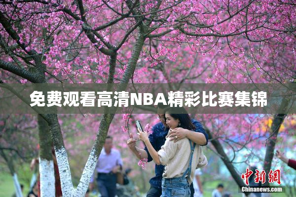 免费观看高清NBA精彩比赛集锦