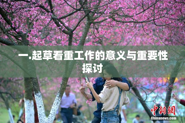 一.起草看重工作的意义与重要性探讨