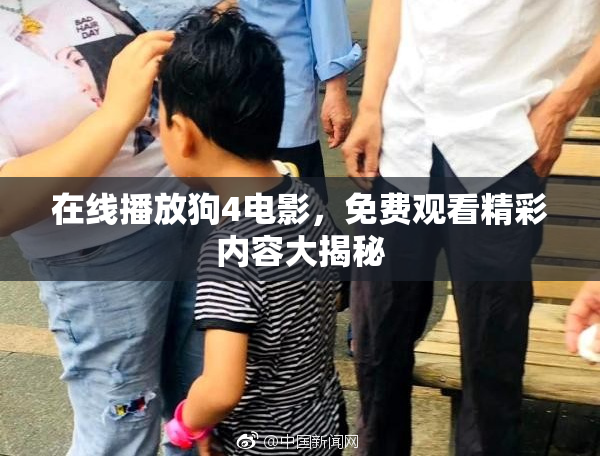 在线播放狗4电影，免费观看精彩内容大揭秘