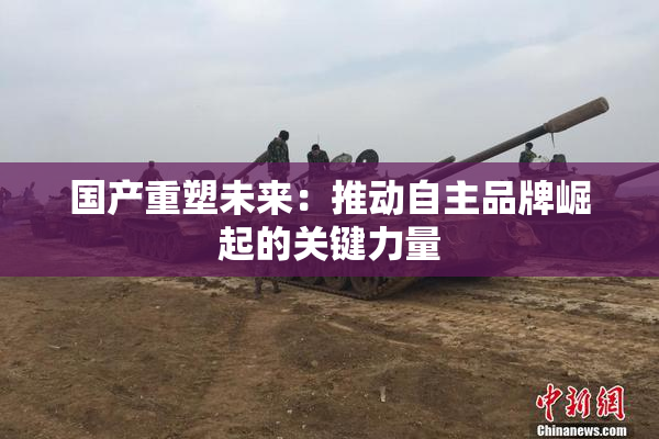 国产重塑未来：推动自主品牌崛起的关键力量