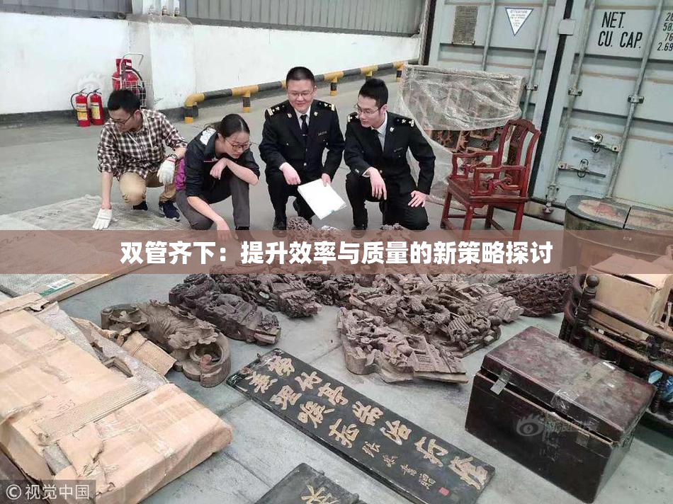 双管齐下：提升效率与质量的新策略探讨