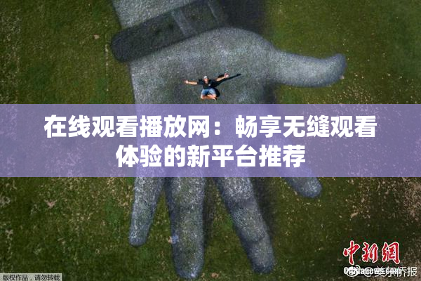 在线观看播放网：畅享无缝观看体验的新平台推荐