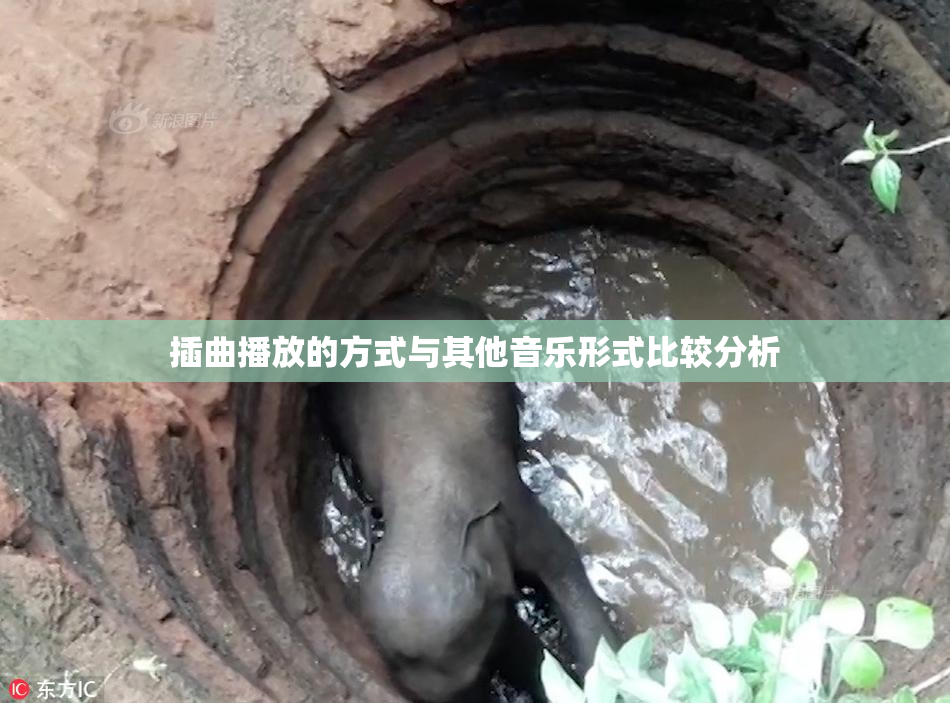 插曲播放的方式与其他音乐形式比较分析