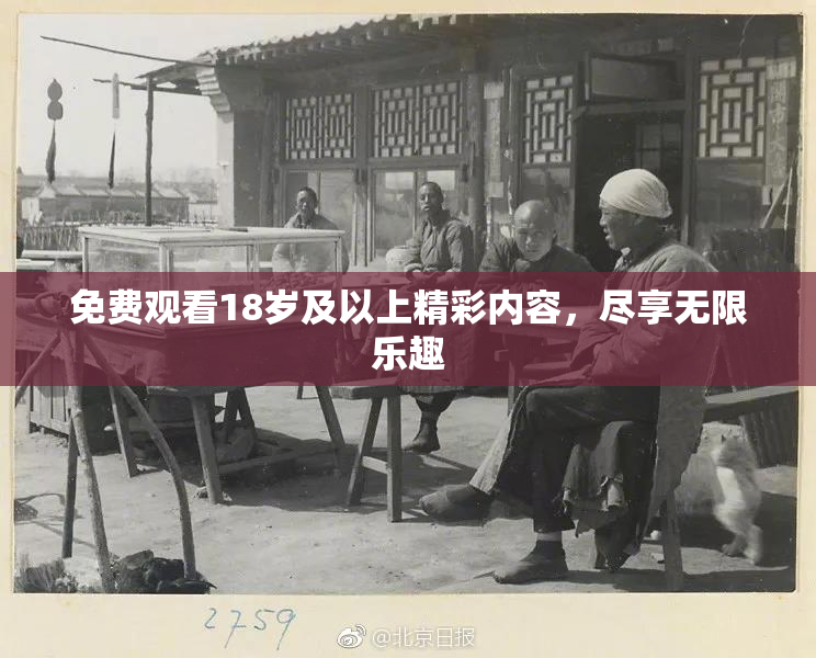 免费观看18岁及以上精彩内容，尽享无限乐趣