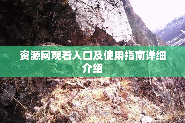 资源网观看入口及使用指南详细介绍