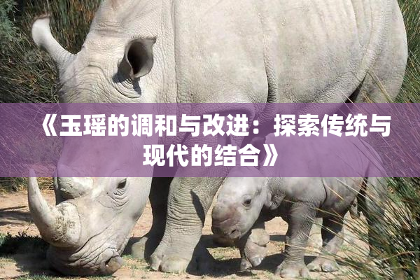 《玉瑶的调和与改进：探索传统与现代的结合》
