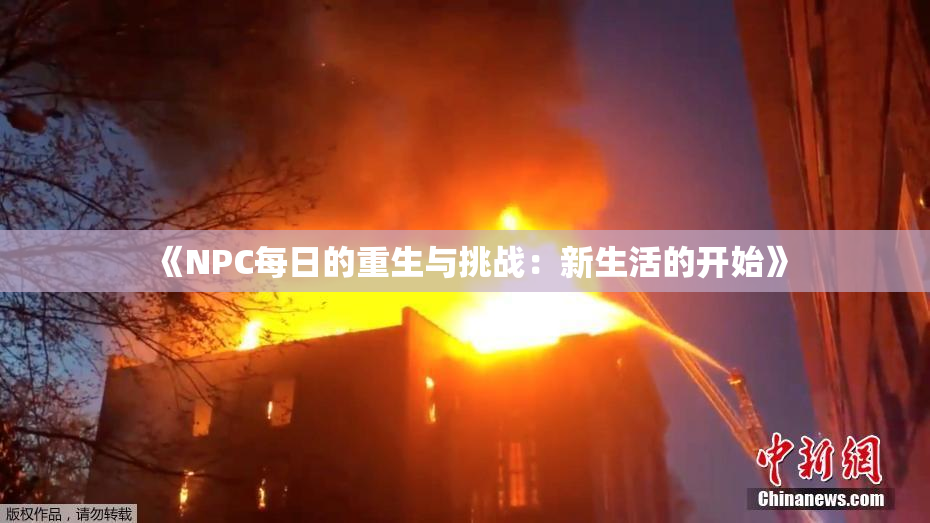 《NPC每日的重生与挑战：新生活的开始》