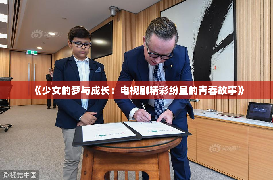 《少女的梦与成长：电视剧精彩纷呈的青春故事》