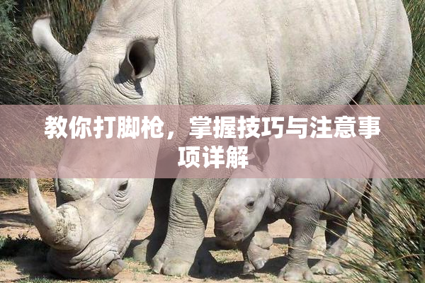 教你打脚枪，掌握技巧与注意事项详解
