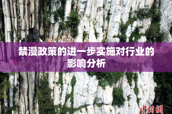 禁漫政策的进一步实施对行业的影响分析