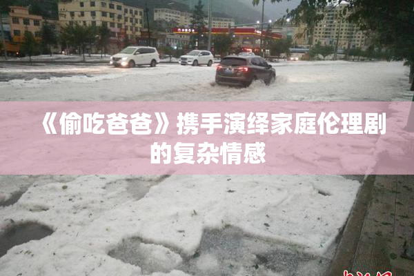 《偷吃爸爸》携手演绎家庭伦理剧的复杂情感