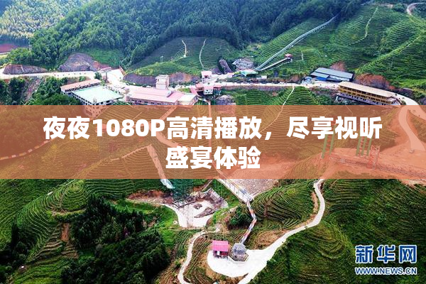 夜夜1080P高清播放，尽享视听盛宴体验