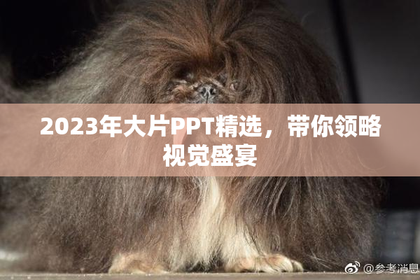 2023年大片PPT精选，带你领略视觉盛宴