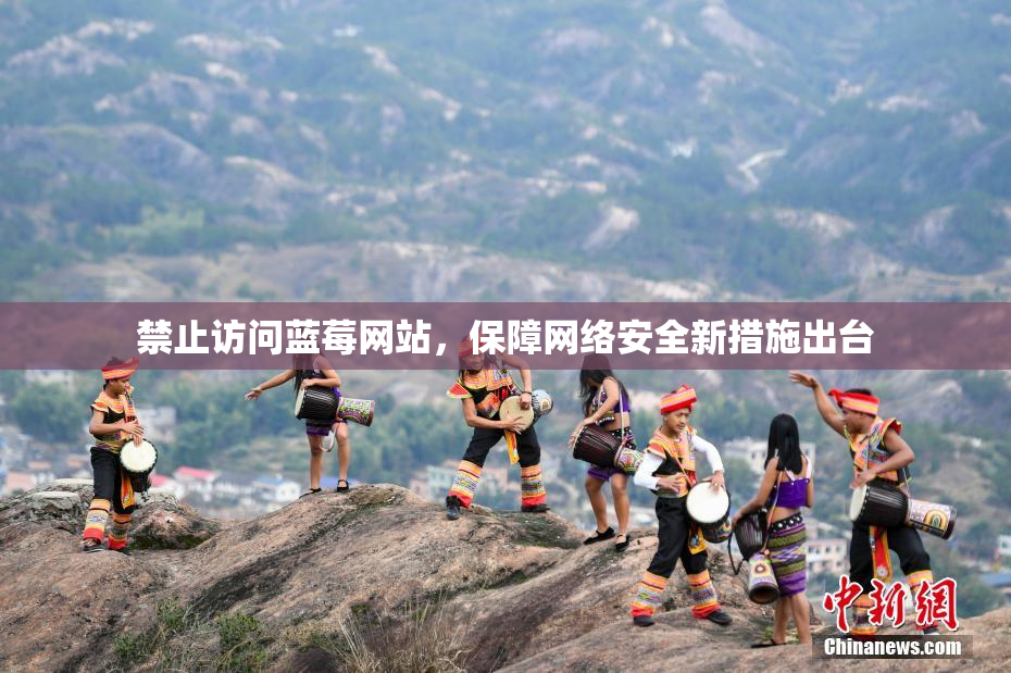禁止访问蓝莓网站，保障网络安全新措施出台