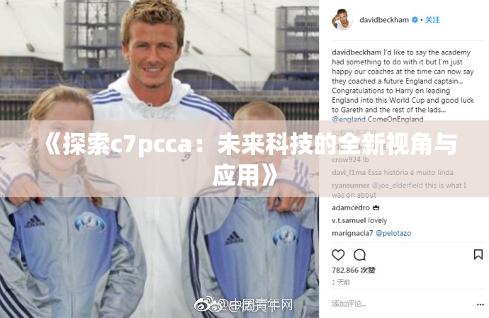 《探索c7pcca：未来科技的全新视角与应用》