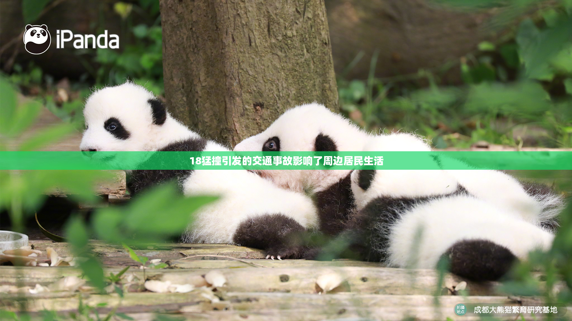 18猛撞引发的交通事故影响了周边居民生活