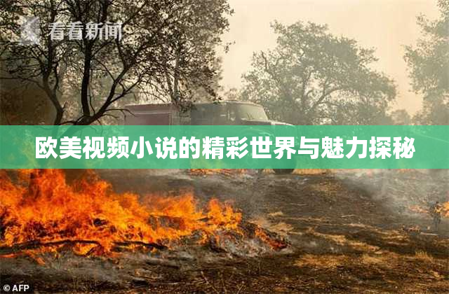 欧美视频小说的精彩世界与魅力探秘