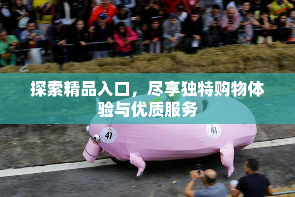 探索精品入口，尽享独特购物体验与优质服务