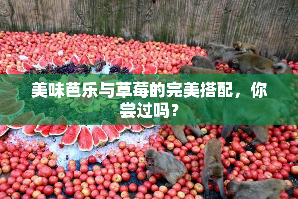 美味芭乐与草莓的完美搭配，你尝过吗？